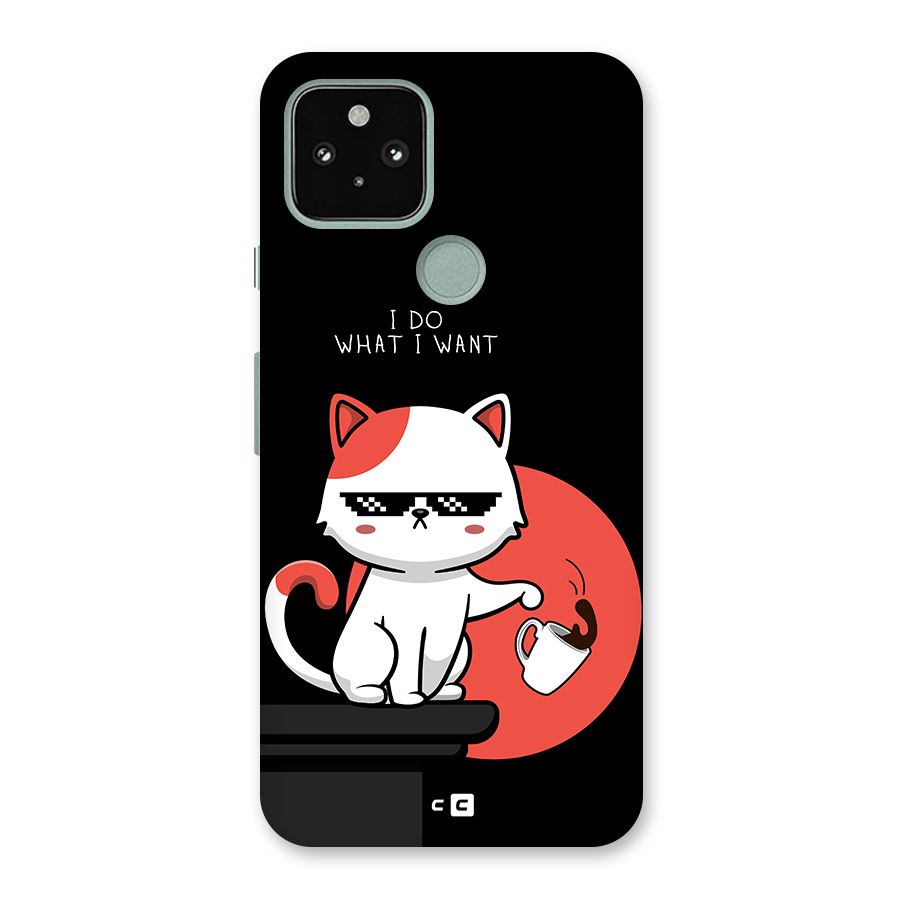 Cute Attitude Cat Back Case for Google Pixel 5