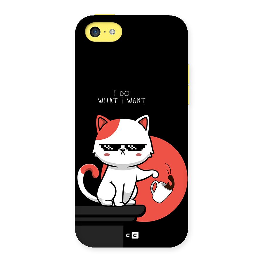 Cute Attitude Cat Back Case for iPhone 5C