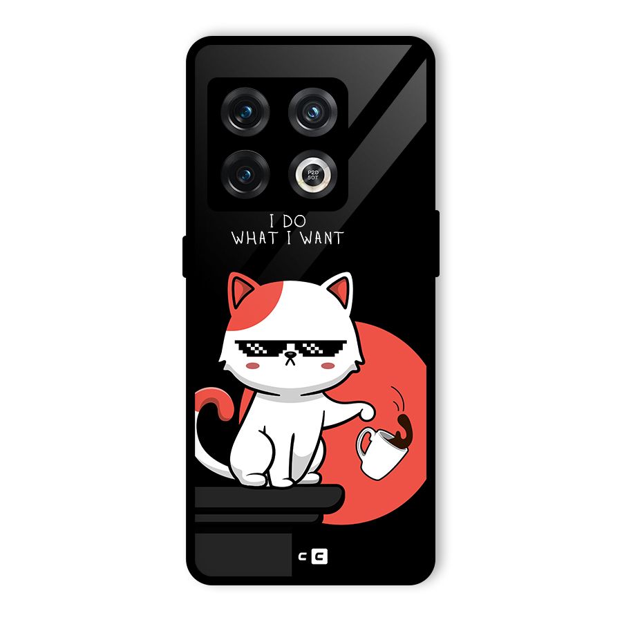 Cute Attitude Cat Glass Back Case for OnePlus 10 Pro 5G