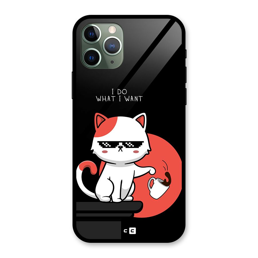 Cute Attitude Cat Glass Back Case for iPhone 11 Pro
