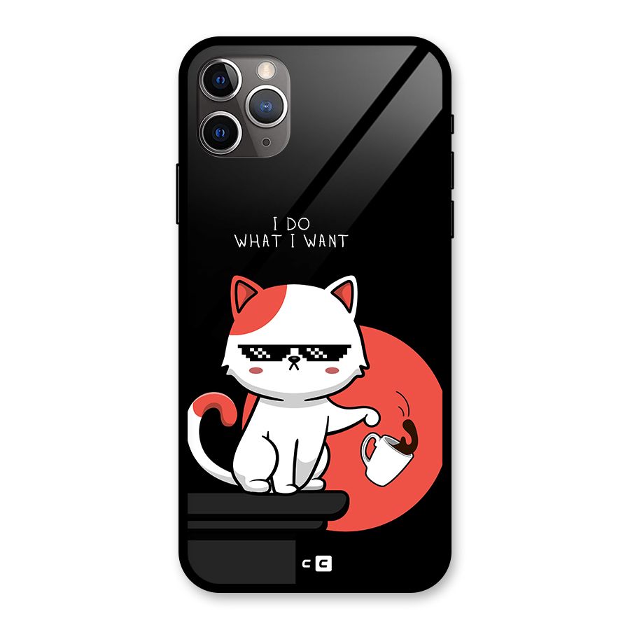 Cute Attitude Cat Glass Back Case for iPhone 11 Pro Max