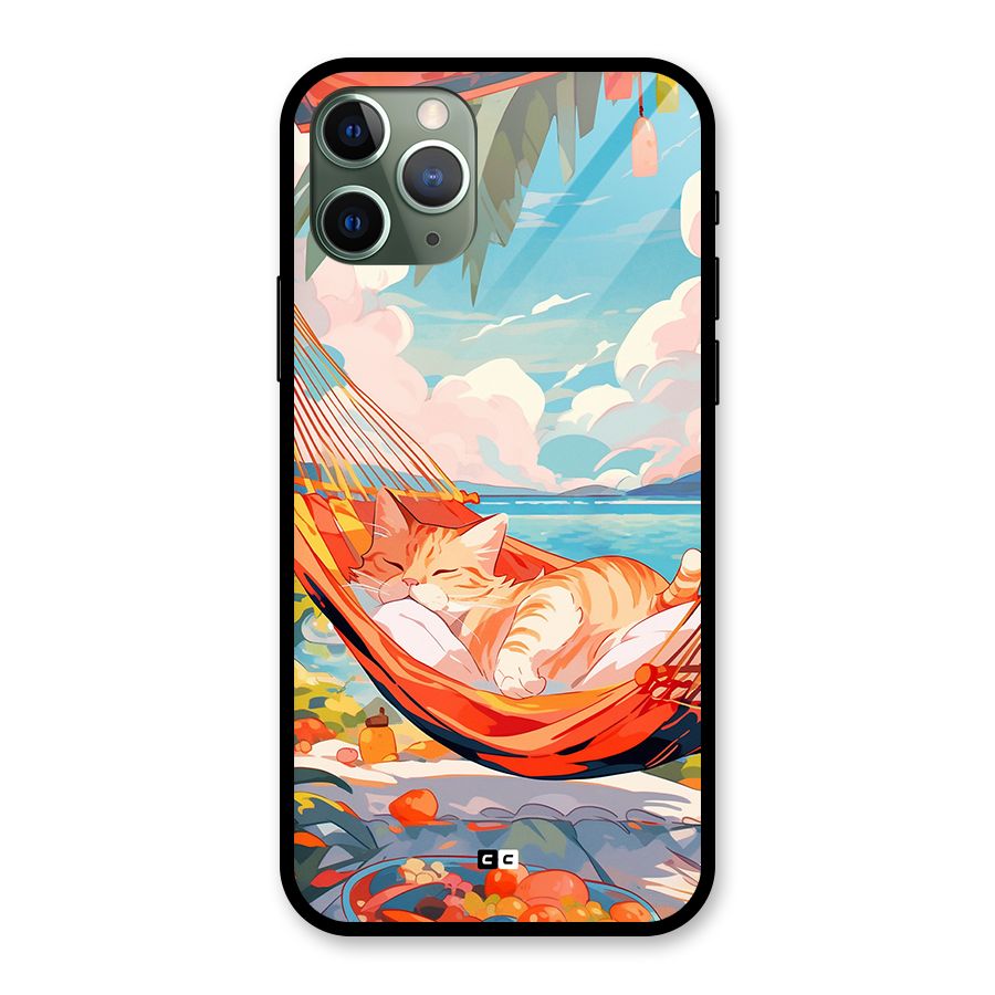 Cute Cat On Beach Glass Back Case for iPhone 11 Pro
