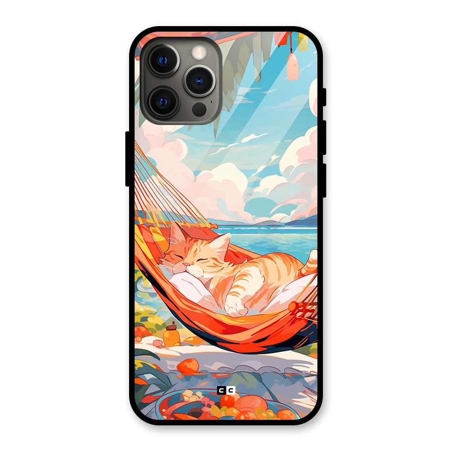 Cute Cat On Beach Glass Back Case for iPhone 12 Pro Max