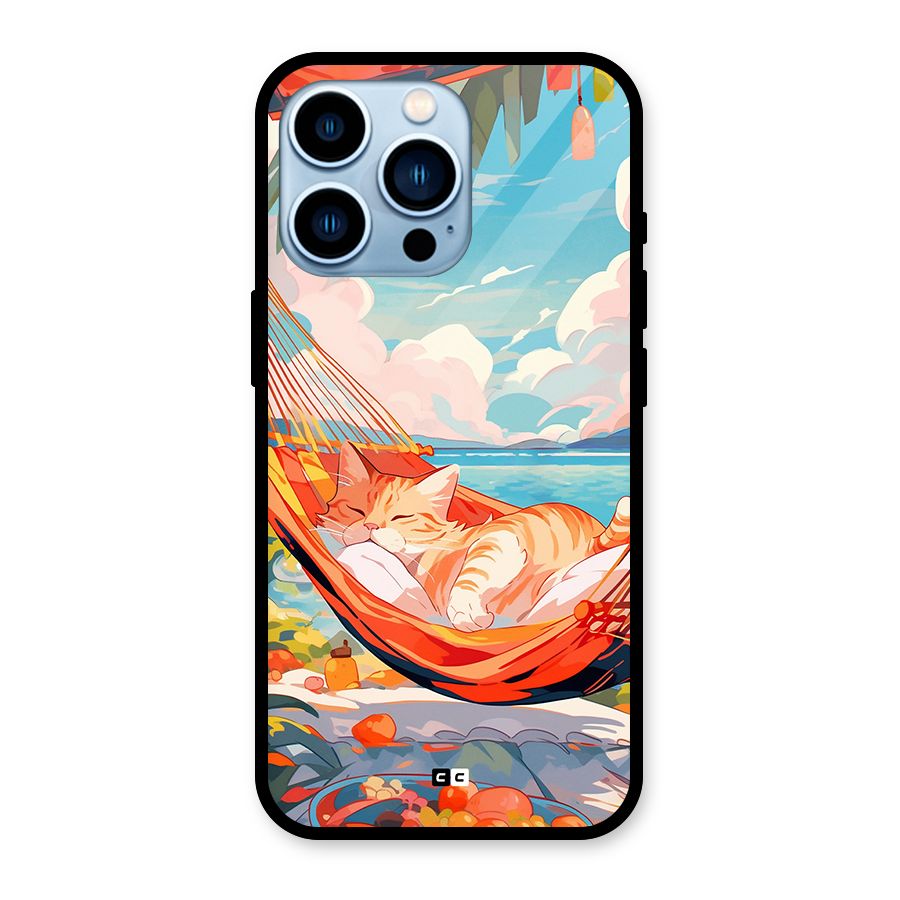 Cute Cat On Beach Glass Back Case for iPhone 13 Pro