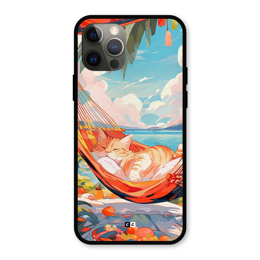 Cute Cat On Beach Metal Back Case for iPhone 12 Pro