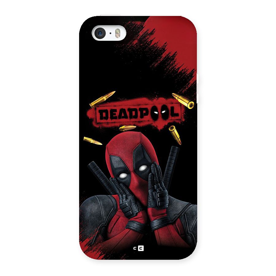 Cute Pool Back Case for iPhone 5 5s