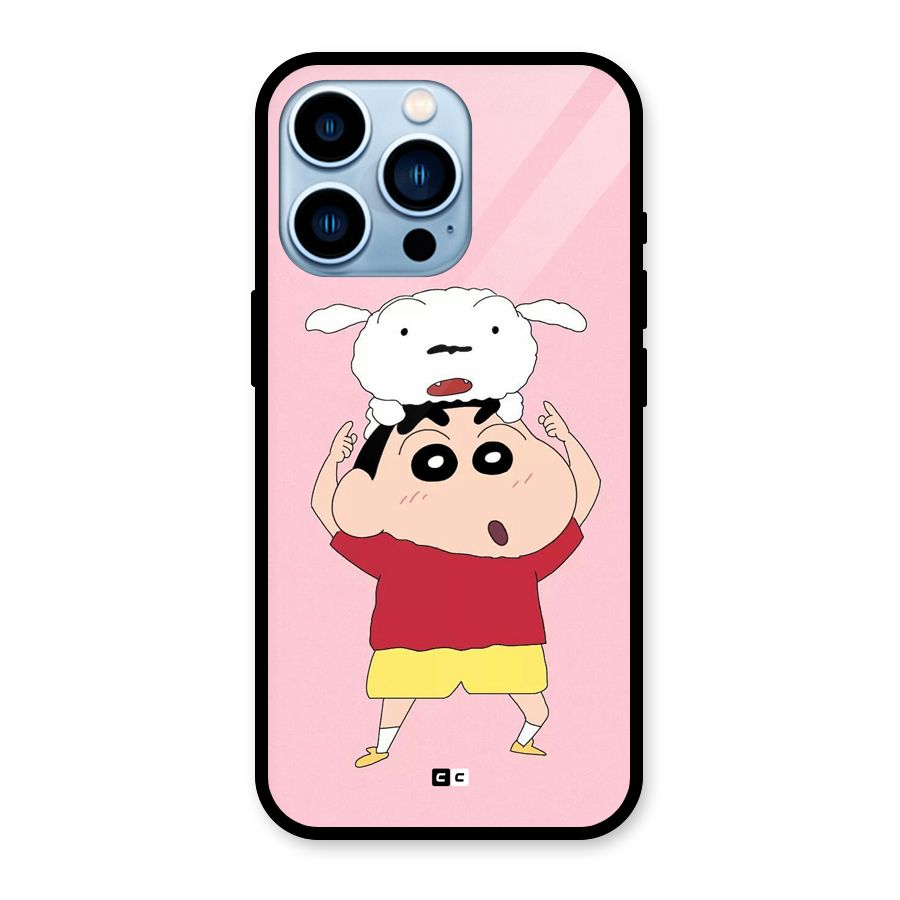Cute Sheero Glass Back Case for iPhone 13 Pro