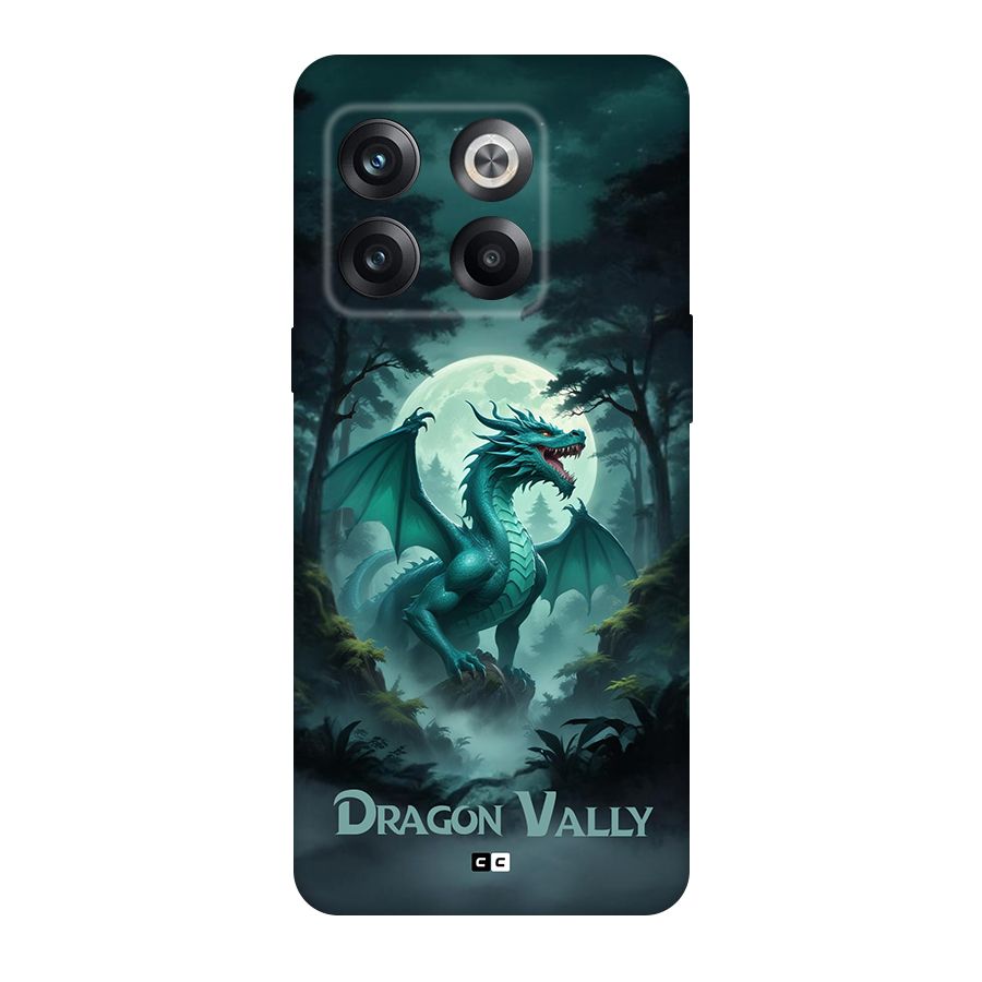 Dragon Valley Back Case for OnePlus 10T