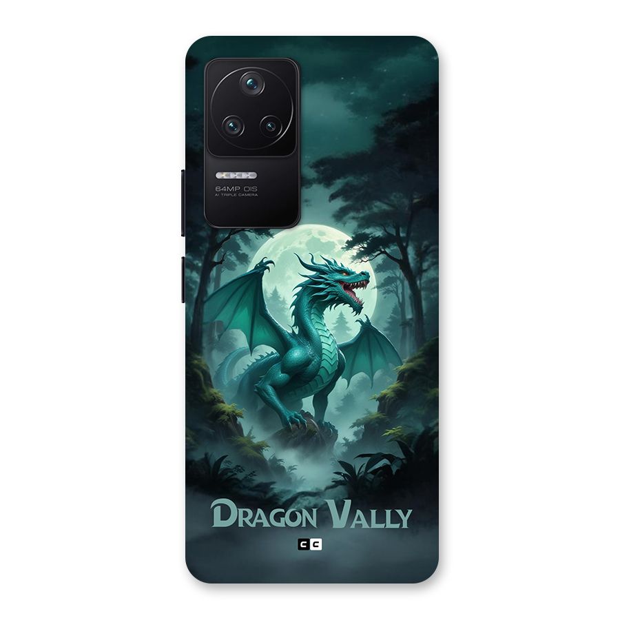Dragon Valley Back Case for Poco F4 5G