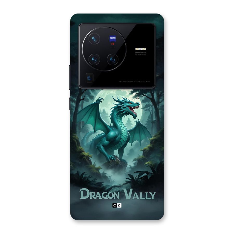 Dragon Valley Back Case for Vivo X80 Pro