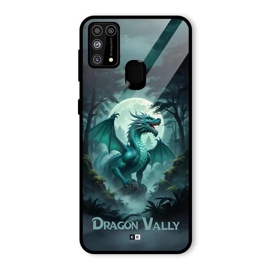 Dragon Valley Glass Back Case for Galaxy F41