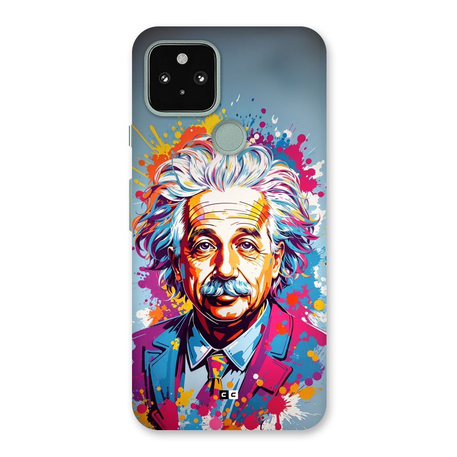 Einstein illustration Back Case for Google Pixel 5