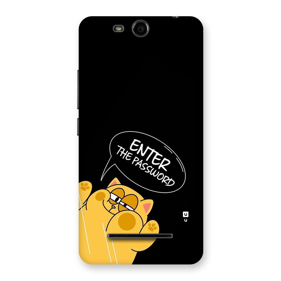 Enter The Password Back Case for Canvas Juice 3 Q392