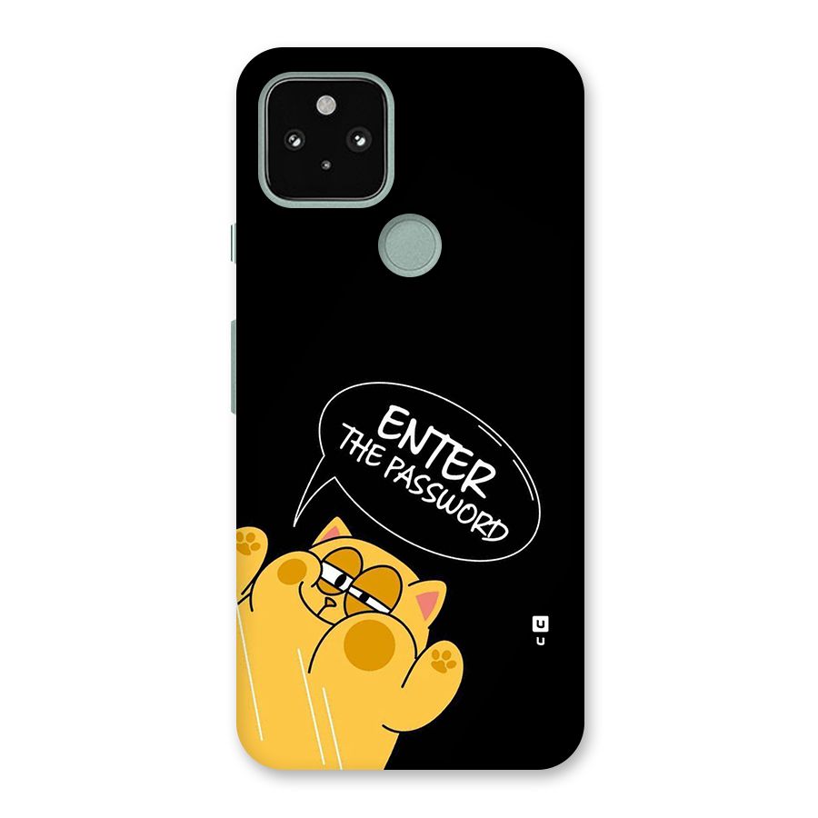 Enter The Password Back Case for Google Pixel 5