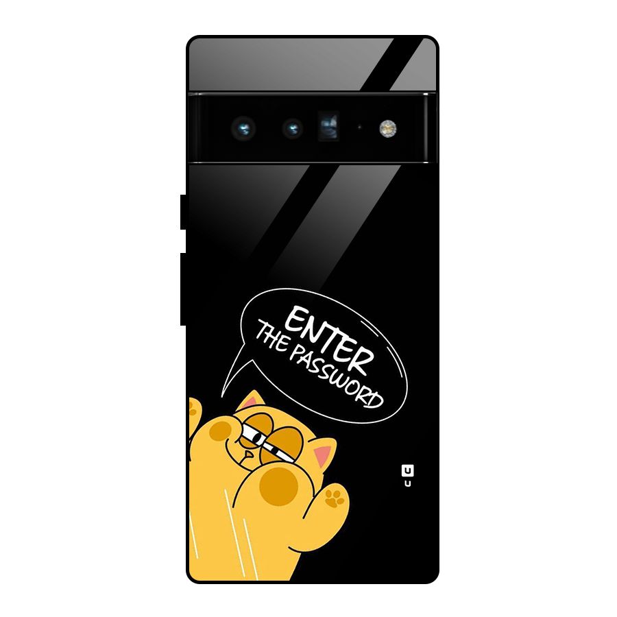 Enter The Password Glass Back Case for Google Pixel 6 Pro