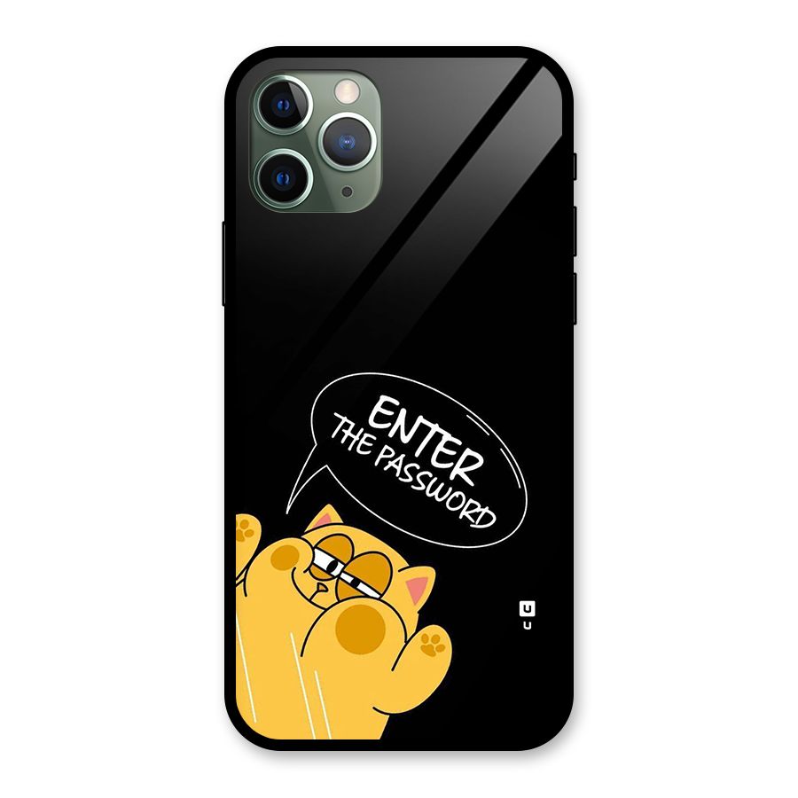 Enter The Password Glass Back Case for iPhone 11 Pro