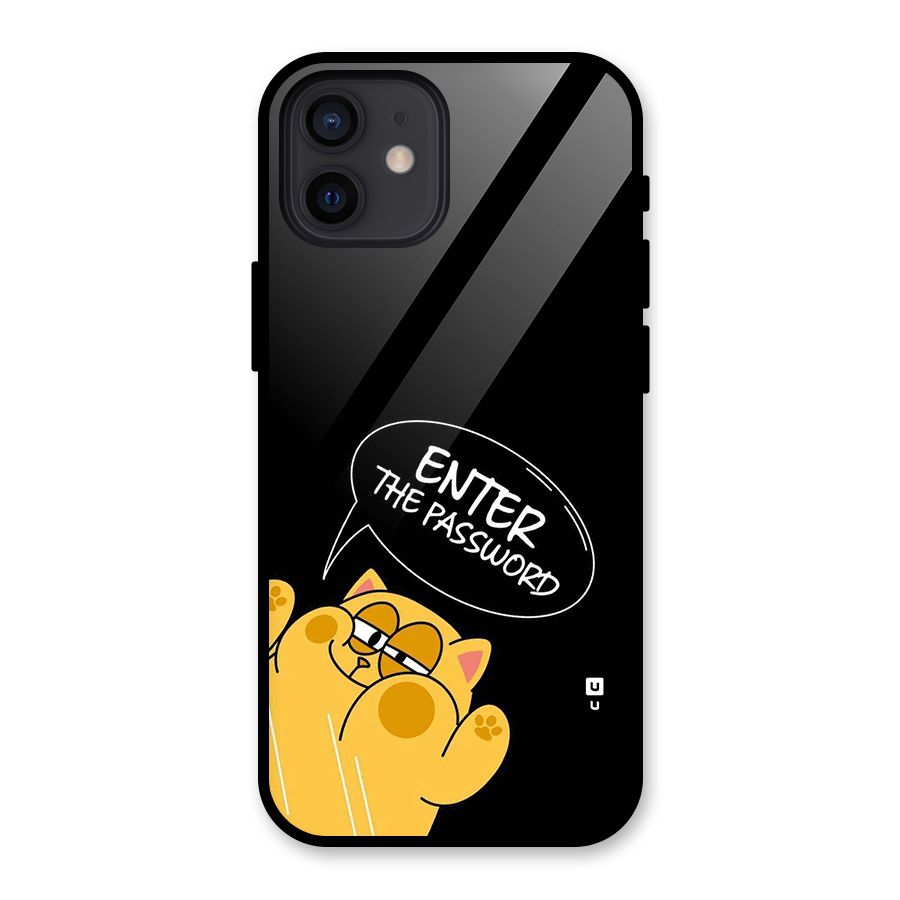 Enter The Password Glass Back Case for iPhone 12