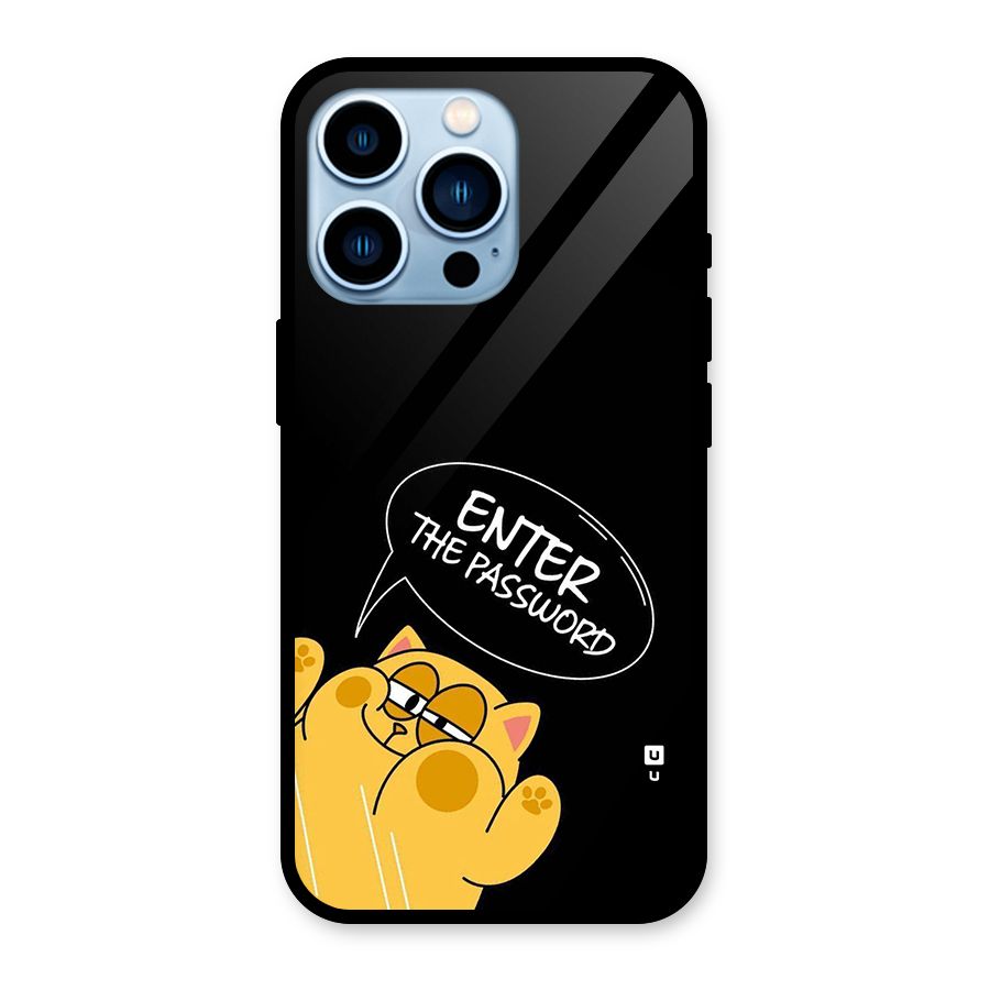 Enter The Password Glass Back Case for iPhone 13 Pro