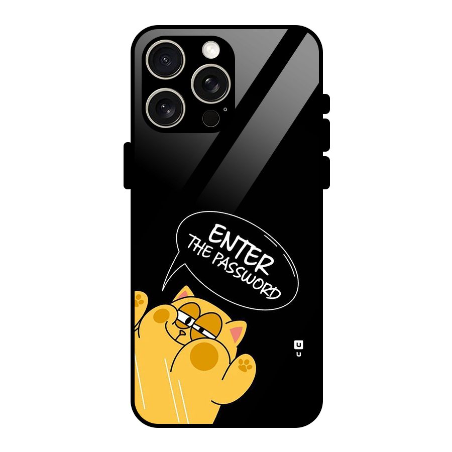 Enter The Password Glass Back Case for iPhone 15 Pro Max