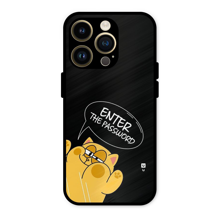 Enter The Password Metal Back Case for iPhone 14 Pro