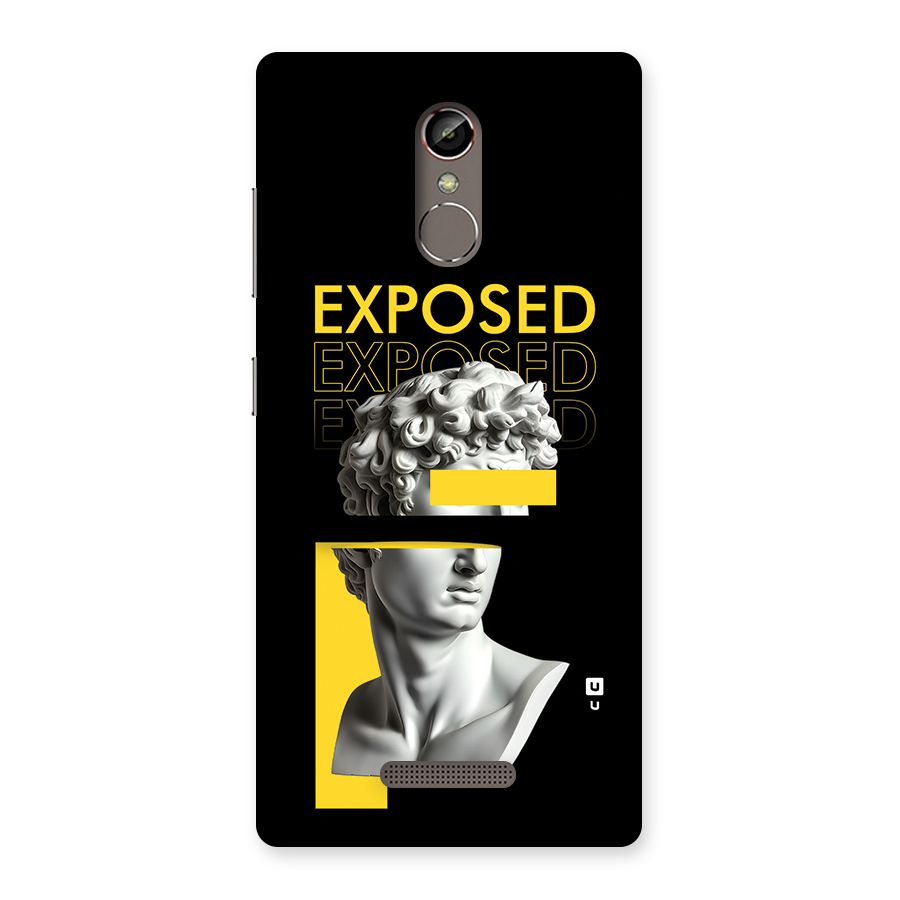 Exposed Sculpture Back Case for Gionee S6s