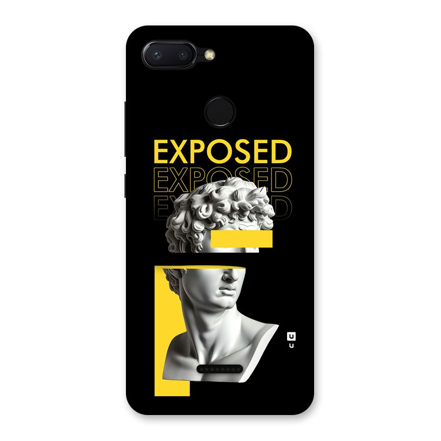 Exposed Sculpture Back Case for Redmi 6