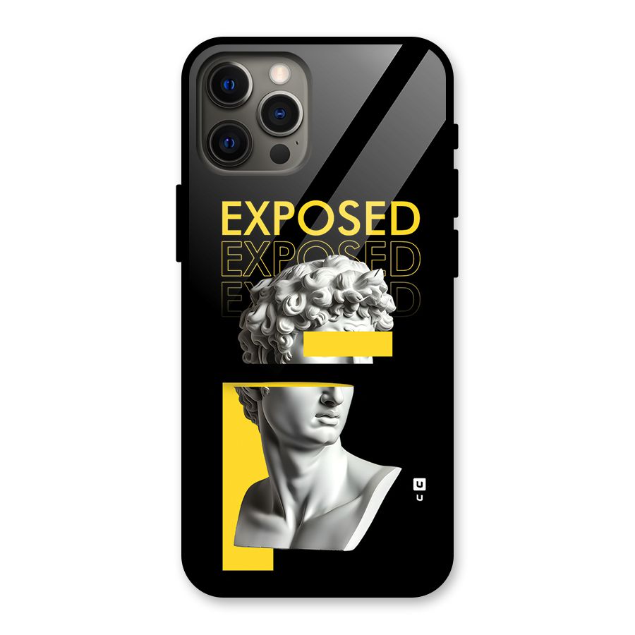 Exposed Sculpture Glass Back Case for iPhone 12 Pro Max