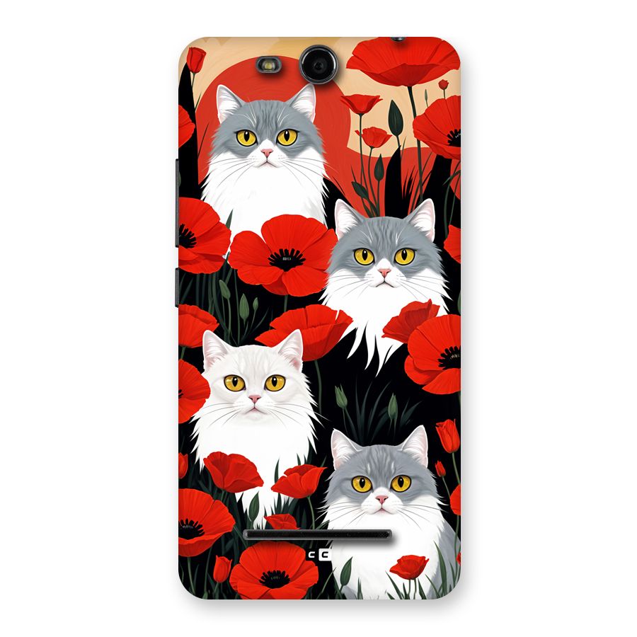 Floral Cat Back Case for Canvas Juice 3 Q392