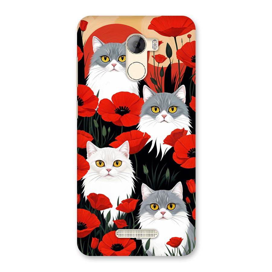 Floral Cat Back Case for Gionee A1 LIte