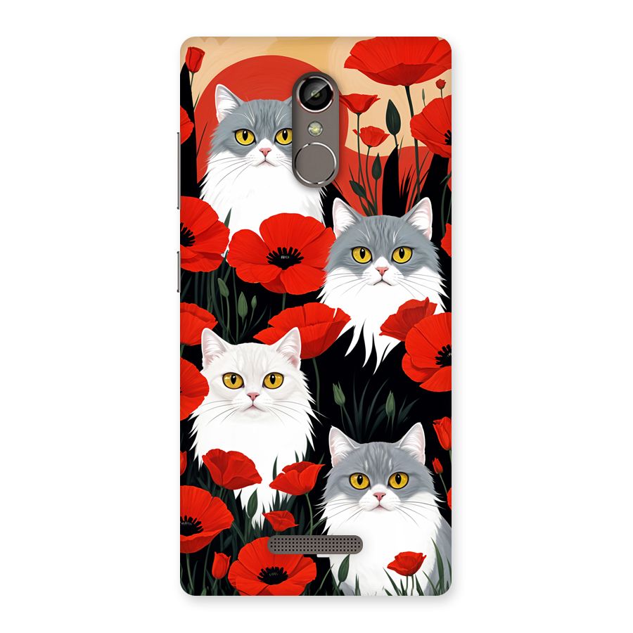 Floral Cat Back Case for Gionee S6s