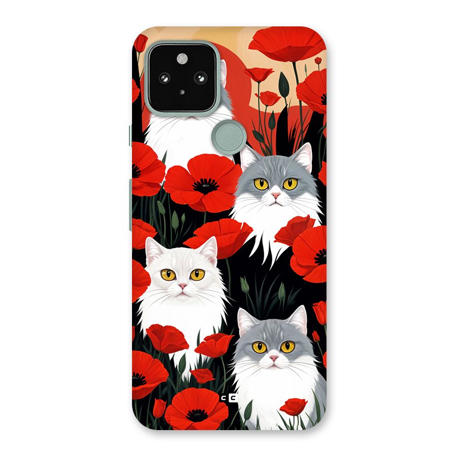Floral Cat Back Case for Google Pixel 5