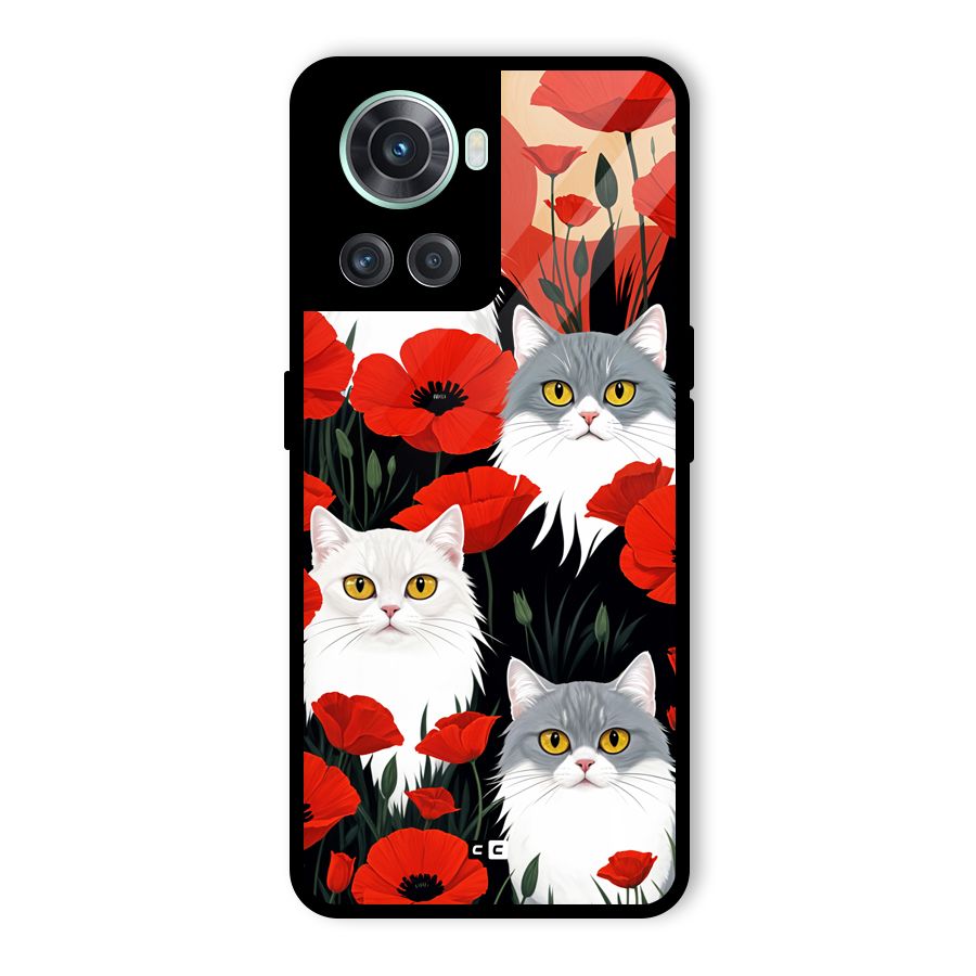 Floral Cat Glass Back Case for OnePlus 10R