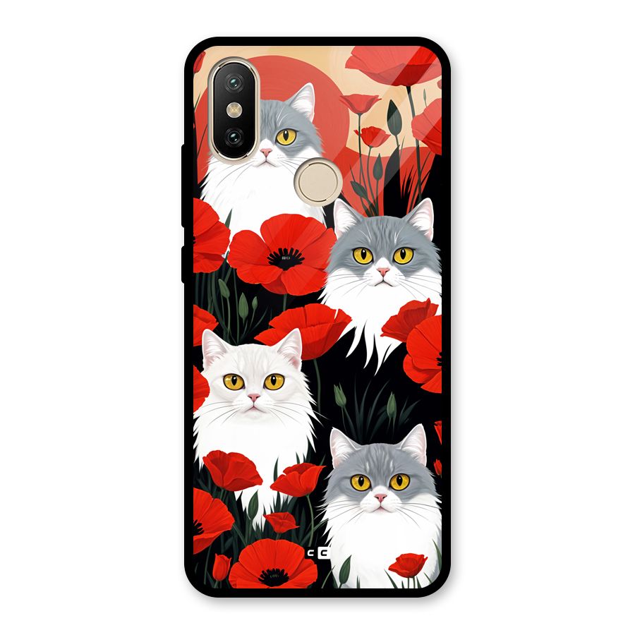 Floral Cat Glass Back Case for Redmi A2