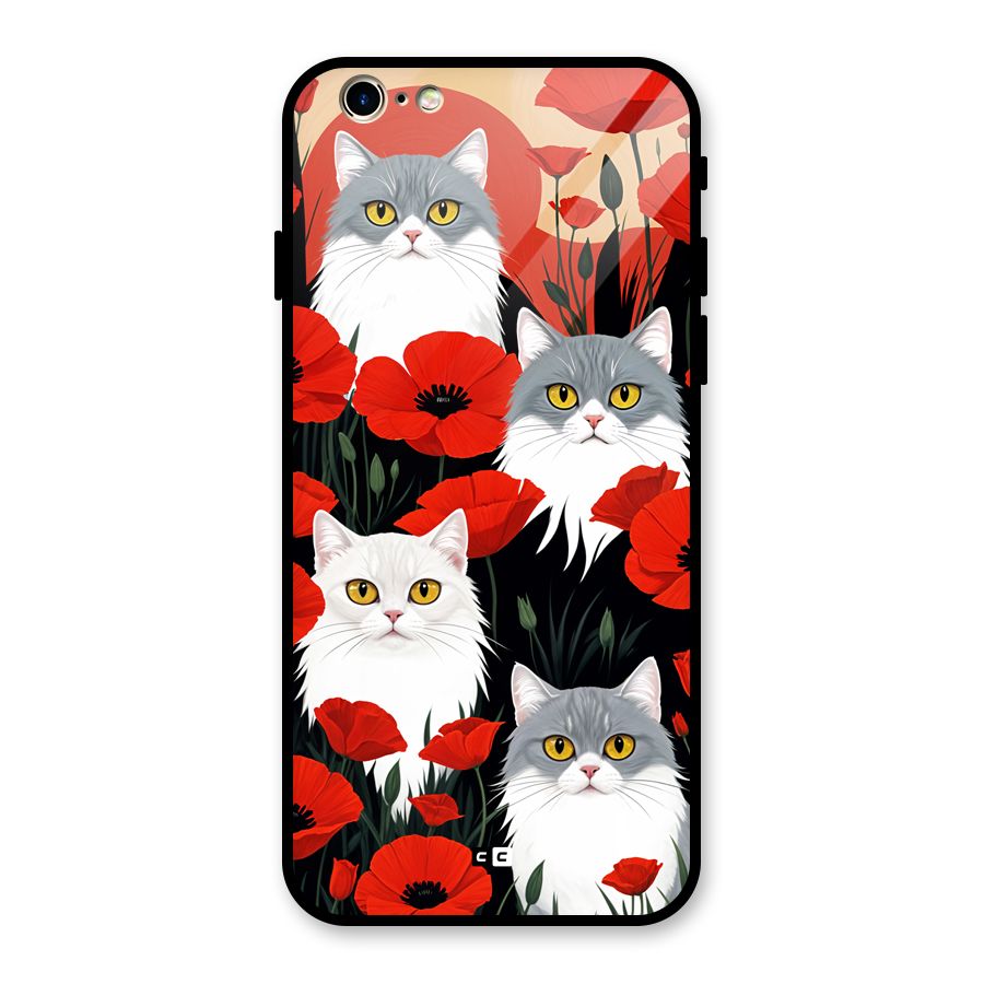 Floral Cat Glass Back Case for iPhone 6 6S