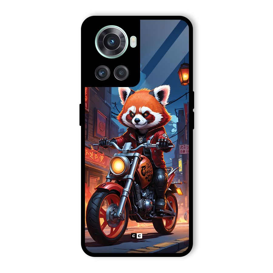 Fox Rider Glass Back Case for OnePlus 10R