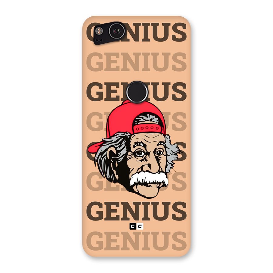 Genious Scientist Back Case for Google Pixel 2