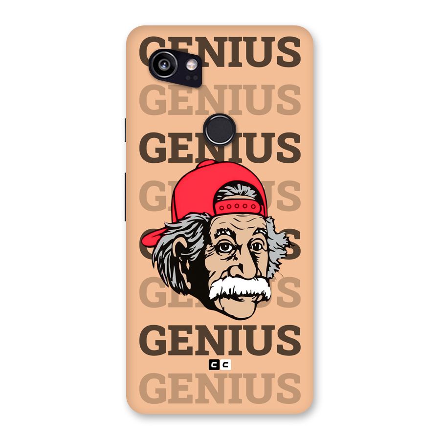 Genious Scientist Back Case for Google Pixel 2 XL