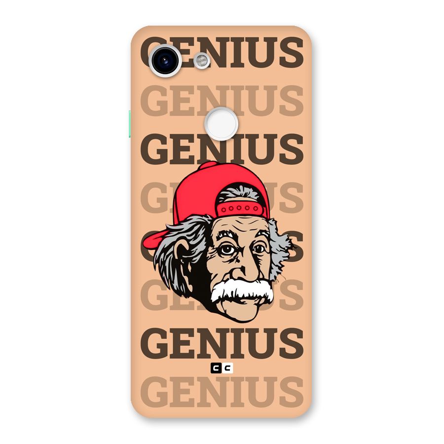 Genious Scientist Back Case for Google Pixel 3