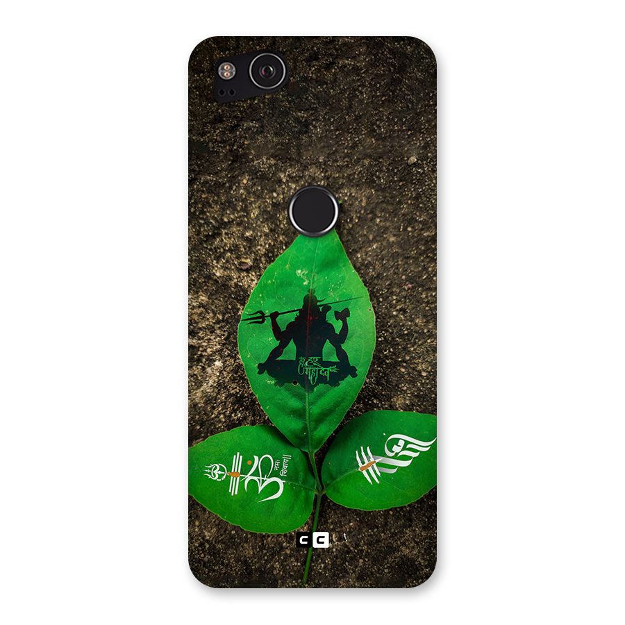 Green Leaf Shiva Back Case for Google Pixel 2