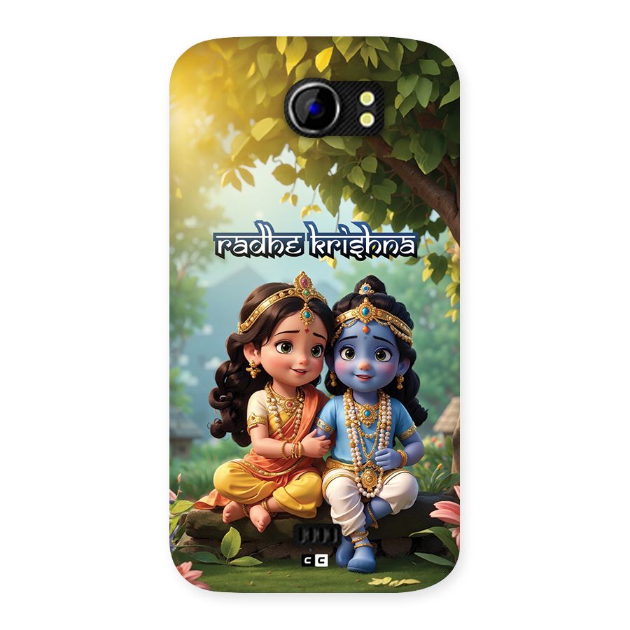 Hare Radhe Krishna Back Case for Canvas 2 A110