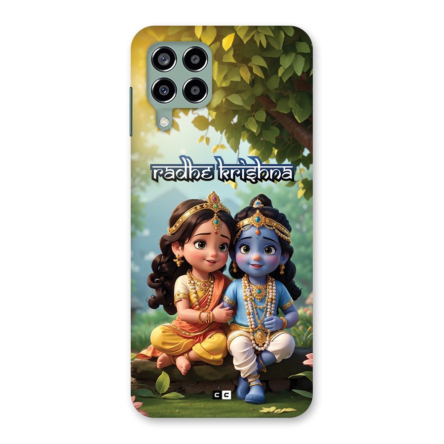 Hare Radhe Krishna Back Case for Galaxy M33