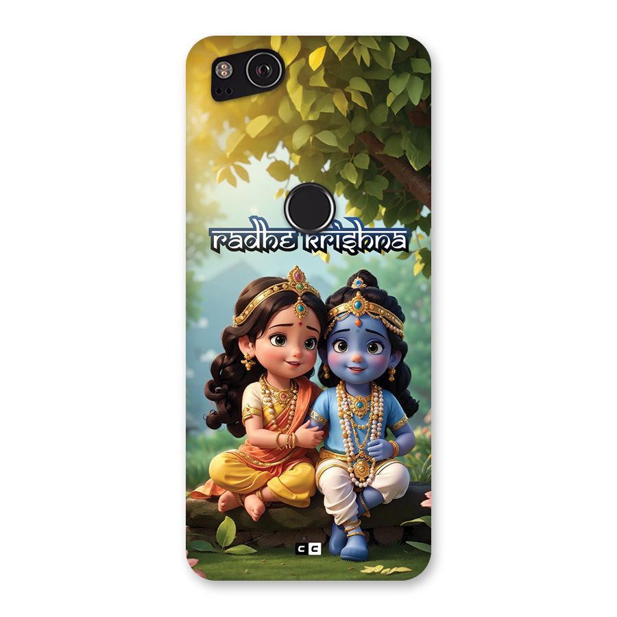 Hare Radhe Krishna Back Case for Google Pixel 2