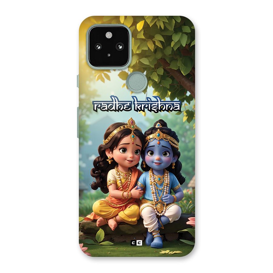 Hare Radhe Krishna Back Case for Google Pixel 5