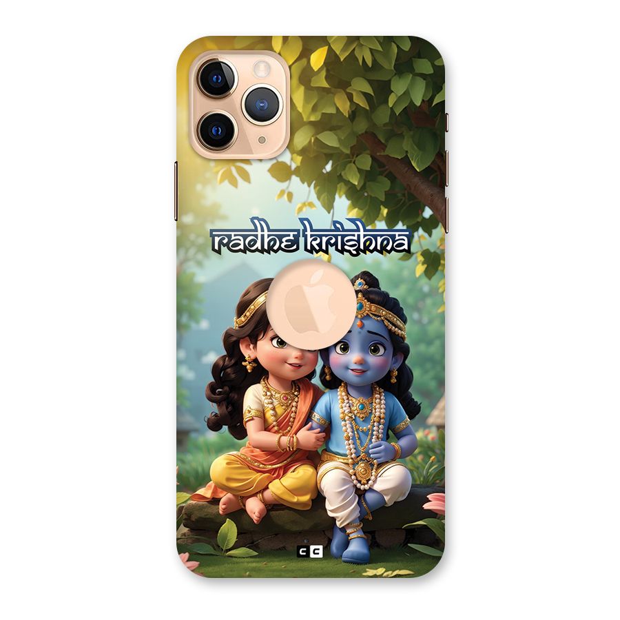 Hare Radhe Krishna Back Case for iPhone 11 Pro Max Logo Cut