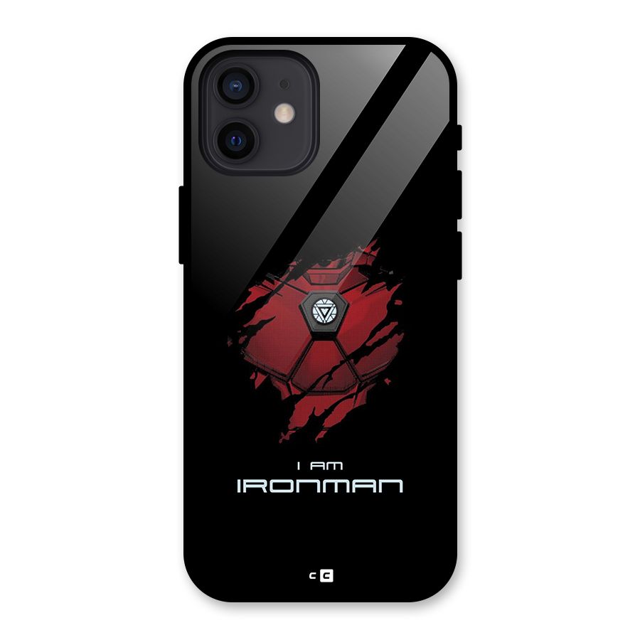 I Am Ironman Back Case for iPhone 12