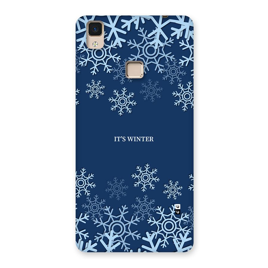 Its Winter Back Case for V3 Max