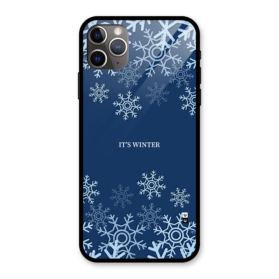 Its Winter Glass Back Case for iPhone 11 Pro Max