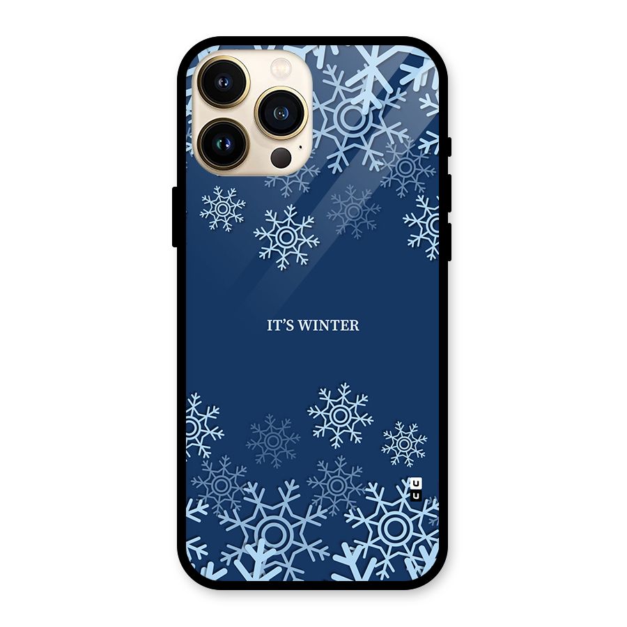 Its Winter Glass Back Case for iPhone 13 Pro Max