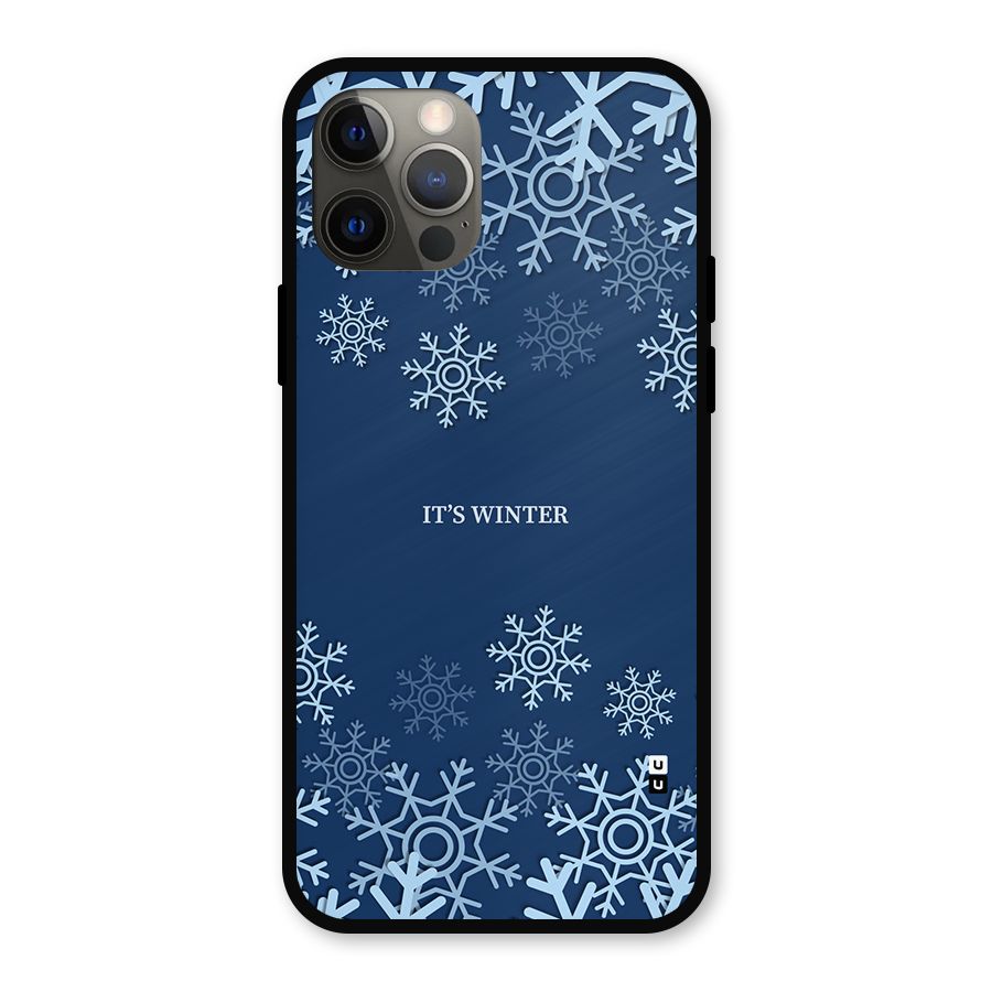Its Winter Metal Back Case for iPhone 12 Pro