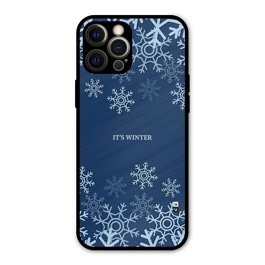 Its Winter Metal Back Case for iPhone 12 Pro Max